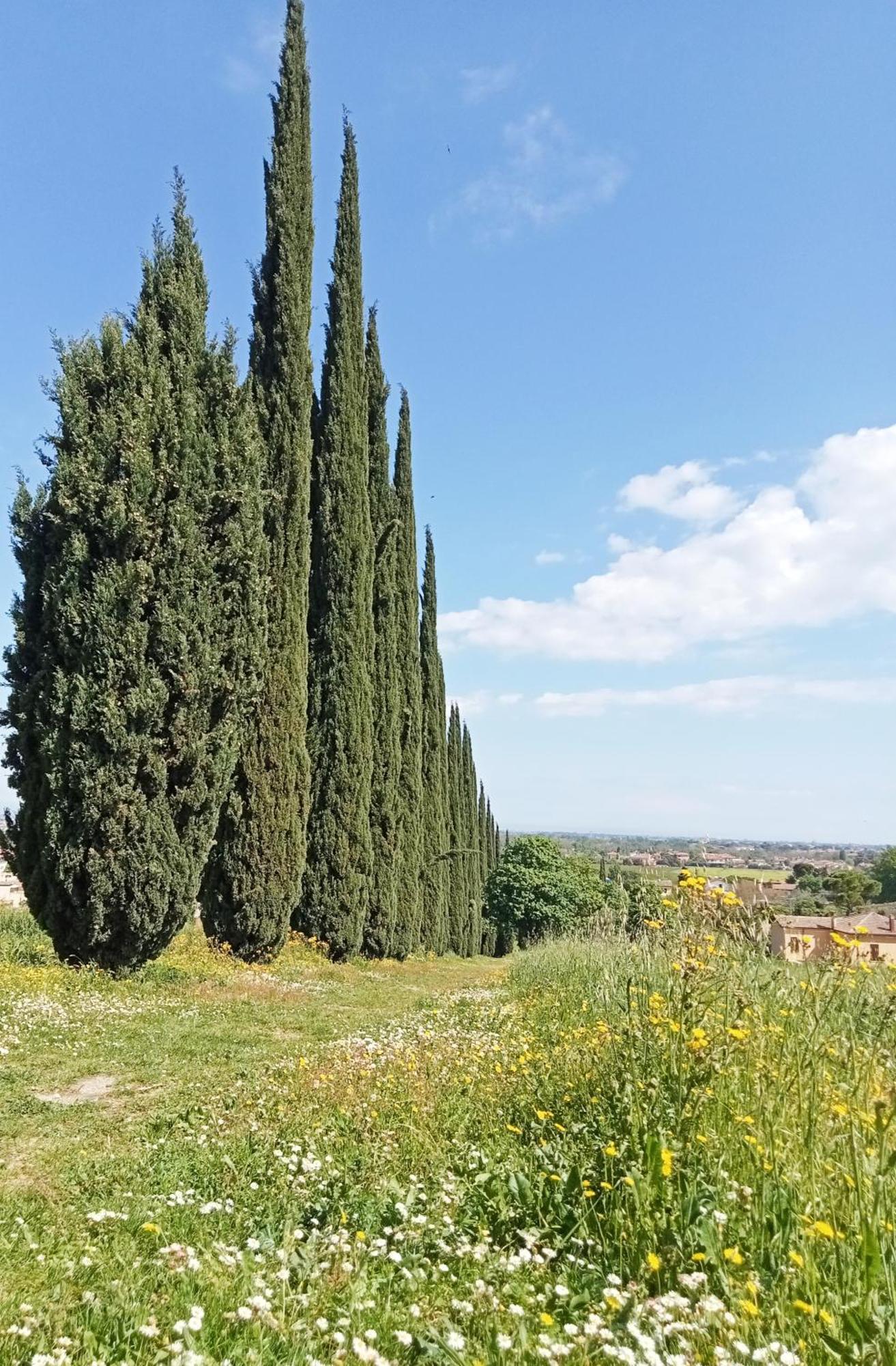 Apartmán Casalice SantʼArcangelo di Romagna Exteriér fotografie
